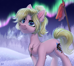 Size: 2800x2500 | Tagged: safe, artist:hakaina, oc, oc only, oc:kara waypoint, pony, aurora borealis, female, forest, high res, jewelry, mare, necklace, scenery, snow, spear, weapon
