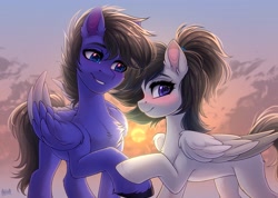 Size: 3500x2486 | Tagged: safe, artist:hakaina, oc, oc only, pegasus, pony, blushing, chest fluff, duo, ear fluff, folded wings, high res, looking at someone, pegasus oc, smiling, sun, unshorn fetlocks, wings