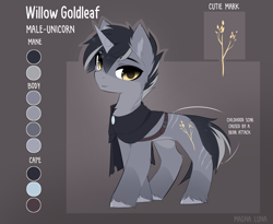 Size: 3850x3160 | Tagged: safe, artist:magnaluna, oc, oc only, oc:willow goldleaf, pony, unicorn, belt, cloak, clothes, ear fluff, high res, horn, looking at you, male, pale belly, reference sheet, scar, solo, stallion, standing, tail, two toned mane, two toned tail, unicorn oc, unshorn fetlocks