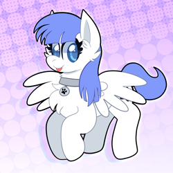 Size: 2000x2000 | Tagged: safe, artist:saveraedae, oc, oc:snow pup, pegasus, pony, :p, collar, commission, female, flying, high res, mare, solo, tongue out