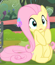 Size: 373x441 | Tagged: safe, screencap, fluttershy, pegasus, pony, filli vanilli, g4, cute, female, mare, shyabetes, solo