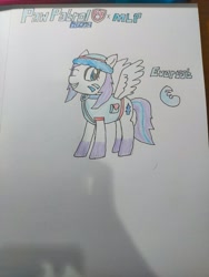 Size: 1200x1600 | Tagged: safe, pegasus, pony, clothes, everest (paw patrol), female, hat, jacket, mare, paw patrol, ponified, traditional art