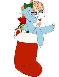 Size: 1000x1300 | Tagged: safe, artist:gray star, oc, oc only, oc:solstice breeze, pegasus, pony, bald face, blaze (coat marking), candy, candy cane, christmas, christmas stocking, clothes, coat markings, colored hooves, colored wings, facial markings, food, glasses, heart, heart eyes, hearth's warming eve, holiday, male, pale belly, simple background, smiling, solo, stallion, transparent background, two toned wings, unshorn fetlocks, wingding eyes, wings