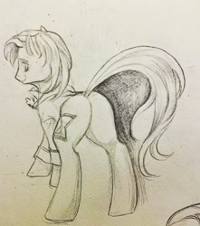 Size: 2268x2567 | Tagged: safe, artist:tulidewo, doctor whooves, time turner, earth pony, pony, g4, butt, fifth doctor, high res, male, plot, sketch, solo, stallion, traditional art