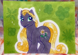 Size: 2048x1460 | Tagged: safe, artist:horse-time-babey, daisyjo, earth pony, pony, solo, traditional art