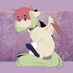 Size: 3000x3000 | Tagged: safe, artist:lunciakkk, oc, oc:melissa kitten, pegasus, pony, bell, bell collar, chest fluff, clothes, collar, commission, high res, sitting, socks, solo