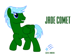 Size: 1083x809 | Tagged: safe, artist:discordant creations, oc, oc only, oc:jade comet, pegasus, pony, male, pegasus oc, reference sheet, secret santa, simple background, solo, stallion, transparent background