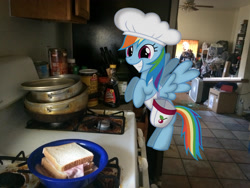 Size: 3264x2448 | Tagged: safe, artist:crusierpl, artist:mlptmntfan2000, rainbow dash, pegasus, pony, g4, apron, chef's hat, clothes, female, food, hat, high res, irl, mare, photo, ponies in real life, sandwich, solo, vector