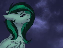 Size: 2160x1620 | Tagged: safe, artist:enderbee, oc, oc only, oc:eden shallowleaf, pegasus, pony, bust, chest fluff, commission, ear fluff, female, mare, multicolored hair, portrait, sky, solo, stars, wings, ych result