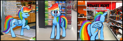 Size: 6040x2028 | Tagged: safe, artist:phutashi, rainbow dash, pegasus, pony, g4, absurd file size, butt, christmas, comic, decoration, dialogue, female, frown, halloween, high res, holiday, irl, mare, photo, plot, ponies in real life, rainbutt dash, store, talking