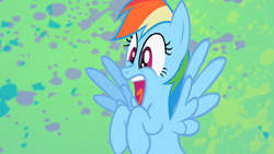 Size: 1280x720 | Tagged: safe, screencap, rainbow dash, pegasus, pony, g4, may the best pet win, cute, dashabetes, female, open mouth, screaming, shocked, solo