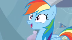 Size: 2560x1440 | Tagged: safe, screencap, rainbow dash, pegasus, pony, g4, tanks for the memories, cute, dashabetes, open mouth, solo