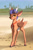 Size: 1600x2400 | Tagged: safe, artist:freeedon, oc, oc only, oc:arny, deer, deer pony, original species, peryton, antlers, beach, complex background, folded wings, neckerchief, solo, wings