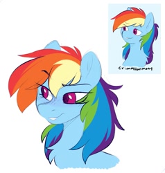 Size: 887x932 | Tagged: safe, artist:chub-wub, artist:crimmharmony, rainbow dash, pegasus, pony, g4, bust, chest fluff, portrait, reference used, simple background, solo, style emulation, white background