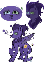 Size: 2963x4207 | Tagged: safe, artist:thecommandermiky, oc, oc only, oc:miky command, cheetah, hybrid, pegasus, pony, chest fluff, cutie mark, female, paws, purple hair, reference sheet, simple background, solo, spread wings, transparent background, wings