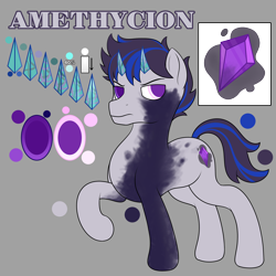 Size: 3000x3000 | Tagged: safe, artist:registereduser, oc, oc only, oc:amethycion, original species, high res, horns, male, reference sheet, solo, stallion