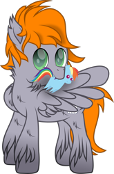 Size: 2039x3091 | Tagged: safe, artist:lincolnbrewsterfan, derpibooru exclusive, rainbow dash, oc, oc:dreamy orange, pegasus, pony, 2023 community collab, derpibooru community collaboration, butt fluff, chest fluff, chin fluff, cloud, cute, cute face, cute smile, ear fluff, female, fluffy mane, fluffy tail, green eyes, grooming, holding, looking at you, male, mare, mouth hold, multicolored mane, multicolored tail, neck fluff, ocbetes, one wing out, orange mane, orange tail, pegasus oc, plushie, preening, simple background, smiling, smiling at you, spread wings, stallion, stallion oc, striped mane, striped tail, tail, transparent background, unshorn fetlocks, wing fluff, wings