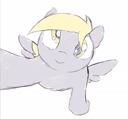 Size: 770x720 | Tagged: safe, artist:datte-before-dawn, derpy hooves, pegasus, pony, g4, animated, bronybait, cute, derpabetes, frame by frame, kissing, le cygne, offscreen character, ponified, ponified animal photo, ponified animal video, ponified video, pov, reference in the comments, solo, sound, the antithology, webm