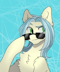 Size: 1707x2048 | Tagged: safe, artist:chibadeer, oc, oc only, earth pony, pony, chest fluff, eye clipping through hair, smiling, solo, sunglasses