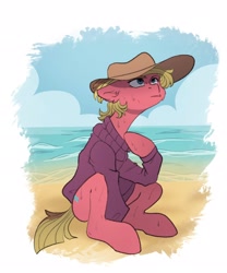 Size: 1706x2048 | Tagged: safe, artist:chibadeer, oc, oc only, earth pony, pony, beach, clothes, floppy ears, hat, solo, sweater