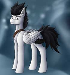 Size: 2176x2332 | Tagged: safe, artist:wailks, oc, oc only, oc:zweihander blood, pegasus, pony, belt, ear fluff, high res, looking at you, male, mountain, pegasus oc, scabbard, snow, solo, stallion, weapon, winter
