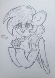 Size: 2737x3853 | Tagged: safe, artist:starkey, derpy hooves, pegasus, pony, g4, bust, chest fluff, ear fluff, fluffy, food, grin, high res, monochrome, muffin, portrait, sketch, smiling, solo, traditional art