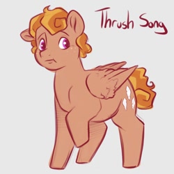 Size: 768x768 | Tagged: safe, artist:smirk, oc, oc:thrush song, pegasus, pony, chubby, curly hair, freckles, male, pegasus oc, simple background, solo, stallion