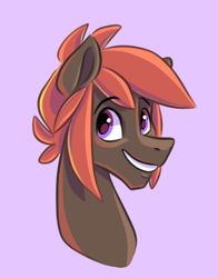 Size: 602x768 | Tagged: safe, artist:smirk, oc, oc only, oc:robin song, pony, bust, male, simple background, smiling, solo, stallion