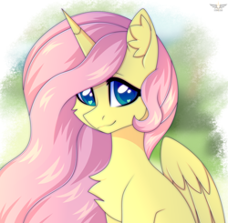 Size: 2350x2300 | Tagged: safe, artist:stesha, fluttershy, alicorn, pony, g4, alicornified, bust, chest fluff, cute, ear fluff, fluttercorn, folded wings, heart, heart eyes, high res, long mane, looking at you, race swap, smiling, smiling at you, solo, wingding eyes, wings