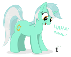 Size: 1576x1262 | Tagged: safe, artist:qkersnll, lyra heartstrings, oc, oc:anon, human, pony, unicorn, g4, dialogue, dock, female, giant pony, macro, mare, simple background, tail, white background