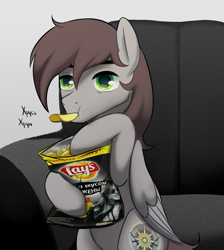 Size: 5931x6633 | Tagged: safe, artist:rvsbhrt, oc, oc only, oc:gonta, pony, chips, cyrillic, eating, food, lay's, male, potato, potato chips, russian, sofa bed, solo
