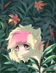 Size: 1578x2048 | Tagged: safe, artist:hichieca, oc, oc only, pony, flower, nature, plant, solo