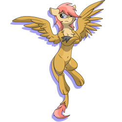 Size: 4504x4505 | Tagged: safe, artist:pzkratzer, oc, oc:ponygriff, hippogriff, hybrid, pony, belly button, looking away, paws, ponygriff, simple background, solo, spread wings, unamused, wings