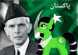 Size: 720x513 | Tagged: safe, artist:lekadema, edit, human, pony, flag, muhammad ali jinnah, nation ponies, pakistan, ponified, urdu