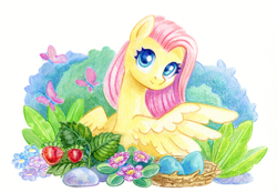 Size: 1448x1000 | Tagged: safe, artist:maytee, part of a set, fluttershy, butterfly, pegasus, pony, g4, berry, cute, egg, female, flower, food, looking at you, mare, nest, shyabetes, simple background, smiling, solo, spread wings, strawberry, traditional art, white background, wings