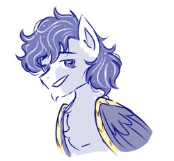 Size: 639x593 | Tagged: safe, artist:dd_mlp, oc, oc only, oc:soaring spirit, pegasus, pony, accessory, armor, bust, chest fluff, chin fluff, coat markings, ear fluff, facial markings, folded wings, male, markings, multicolored hair, multicolored mane, profile picture, simple background, solo, stallion, white background, wing armor, wing brace, wings