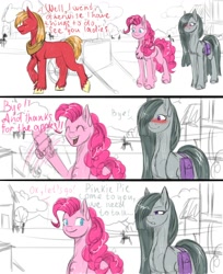 Size: 1100x1350 | Tagged: safe, artist:vera2002, big macintosh, marble pie, pinkie pie, earth pony, pony, g4, comic, female, male