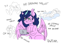 Size: 3508x2480 | Tagged: safe, artist:delfinaluther, oc, pegasus, pony, art, computer, digital art, female, high res, laptop computer, meme, ponysona, sketch