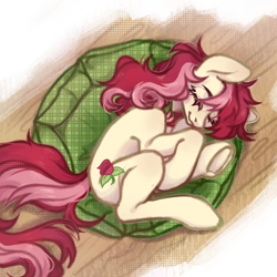 Size: 1100x1100 | Tagged: safe, artist:rustya, roseluck, earth pony, pony, g4, behaving like a cat, collar, commission, commissioner:doom9454, cute, female, mare, pony pet, rosepet, sleeping, solo