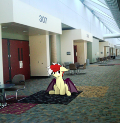 Size: 1962x2000 | Tagged: safe, artist:aaathebap, oc, oc:aaaaaaaaaaa, bat pony, pony, baltimore, baltimore convention center, bat pony oc, confused, irl, liminal space, male, male oc, photo, pony oc, solo, stallion, stallion oc