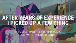 Size: 1920x1080 | Tagged: safe, edit, edited screencap, editor:quoterific, screencap, fluttershy, twilight sparkle, alicorn, pony, g4, growing up is hard to do, my little pony: friendship is magic, bag, saddle bag, twilight sparkle (alicorn)