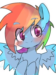 Size: 768x1024 | Tagged: safe, artist:pnpn_721, rainbow dash, pegasus, pony, g4, eye clipping through hair, eyebrows, eyebrows visible through hair, female, looking at you, mare, simple background, smiling, smiling at you, solo, spread wings, white background, wings