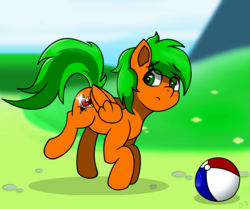 Size: 919x768 | Tagged: safe, artist:tarhoon sunflare, oc, oc only, oc:tarhoon sunflare, pegasus, pony, ball, beach ball, solo