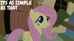 Size: 1920x1080 | Tagged: safe, edit, edited screencap, editor:quoterific, screencap, fluttershy, g4, putting your hoof down, solo