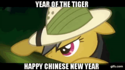 Size: 640x360 | Tagged: safe, edit, edited screencap, editor:quoterific, screencap, daring do, big cat, pegasus, pony, tiger, g4, read it and weep, season 2, animated, boop, chinese new year, eyes closed, female, film grain, floppy ears, gif, gifs.com, impact font, letterboxing, mare, nose wrinkle, noseboop, open mouth, scrunchy face, shrunken pupils, text