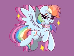 Size: 2048x1536 | Tagged: safe, artist:allicoot, rainbow dash, pegasus, pony, g4, collar, flying, simple background, solo, tongue out