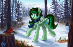 Size: 5100x3300 | Tagged: safe, artist:supermoix, oc, oc only, oc:eden shallowleaf, bird, pegasus, pony, absurd resolution, clothes, commission, cute, forest, forest background, looking back, pine tree, scarf, scenery, smiling, snow, solo, striped scarf, tree, tree stump, winter