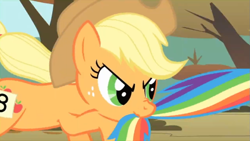 Size: 803x453 | Tagged: safe, screencap, applejack, rainbow dash, fall weather friends, g4, season 1, biting, running of the leaves, tail, tail bite