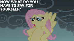 Size: 1280x720 | Tagged: safe, edit, edited screencap, editor:quoterific, screencap, fluttershy, pegasus, pony, dragonshy, g4, season 1, female, flying, mare, open mouth, solo, spread wings, wings