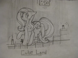 Size: 2592x1944 | Tagged: safe, artist:oatmeal-is-crazy, artist:potatoo-tree, fluttershy, g4, 2013, female, mare, minecraft, monochrome, sketch, solo, traditional art